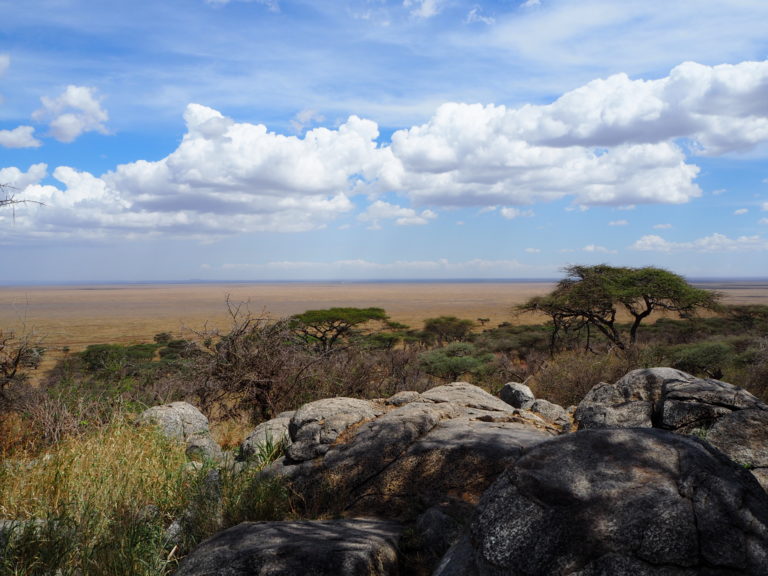 Als Selbstfahrer in der Serengeti – Es geht los nach Tansania…