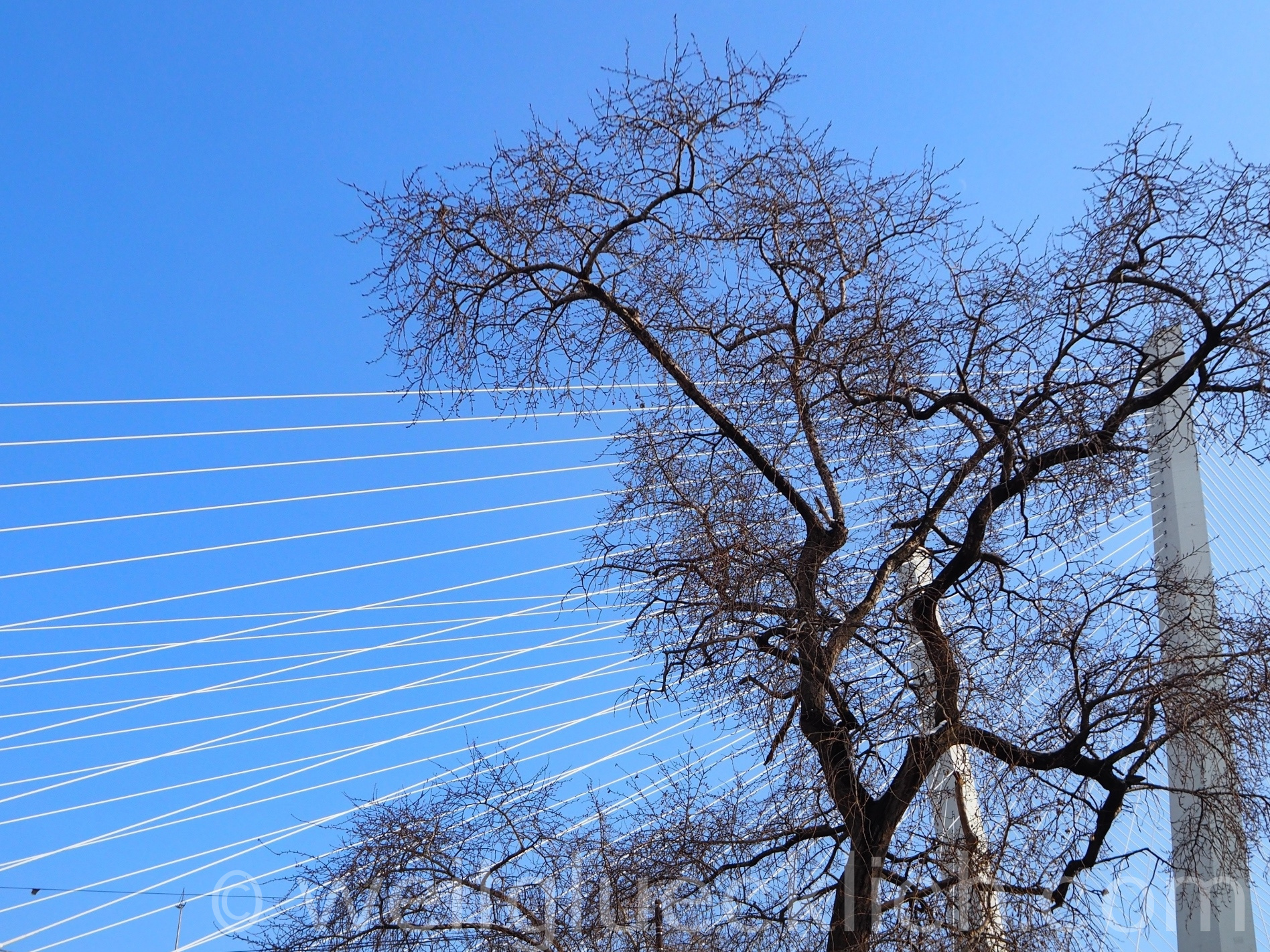Wladiwostok Goldene Horn Bruecke