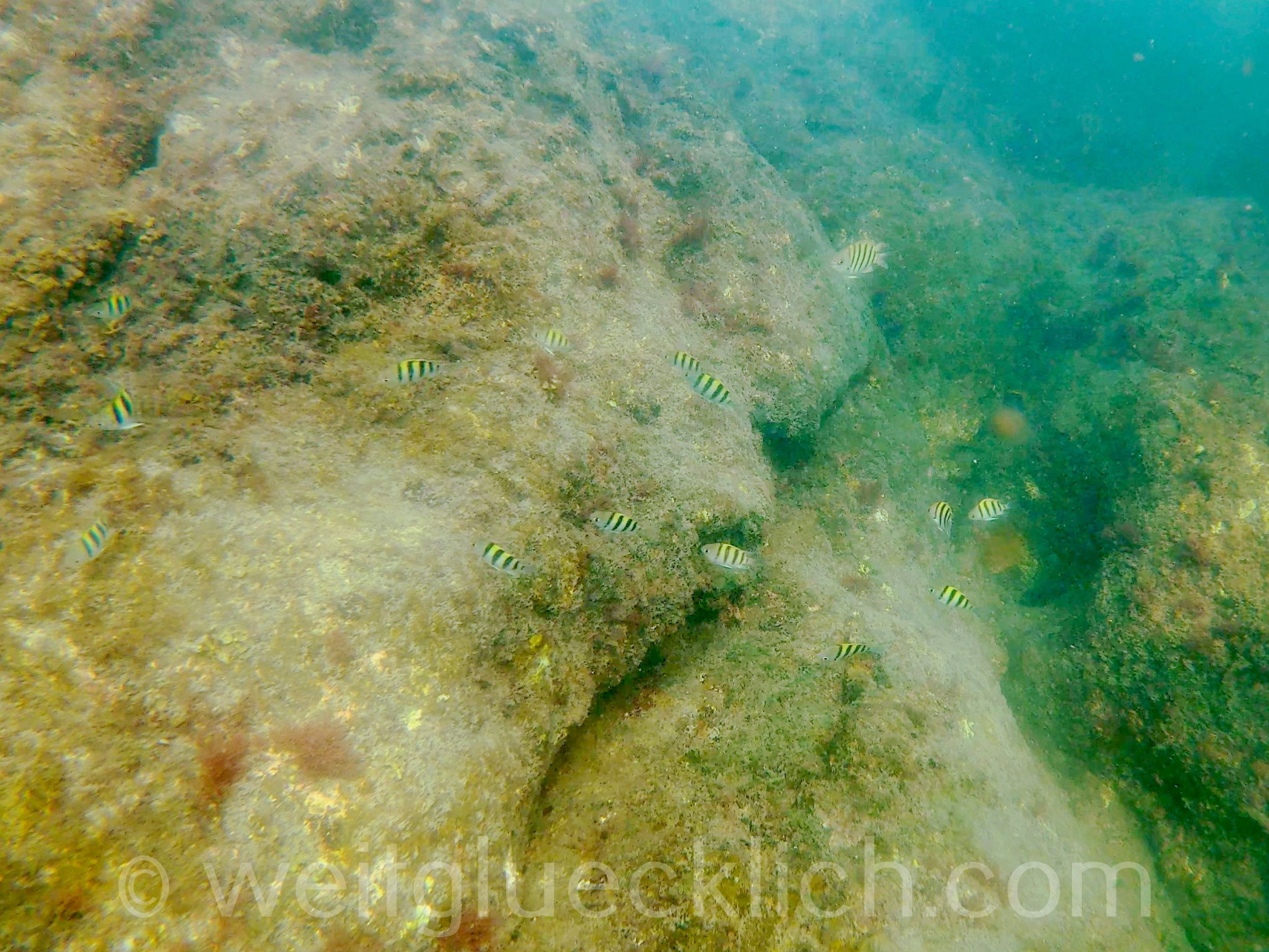 Thailand Koh Chang cliff cottage schnorcheln