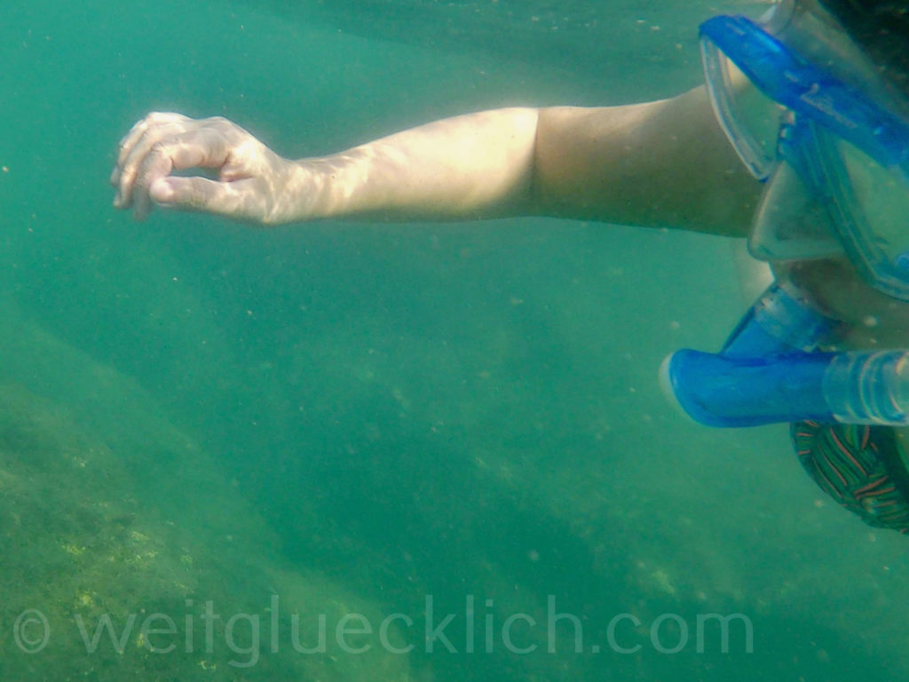 Thailand Koh Chang Cliff Cottage Bucht bay schnorcheln snorkeling 