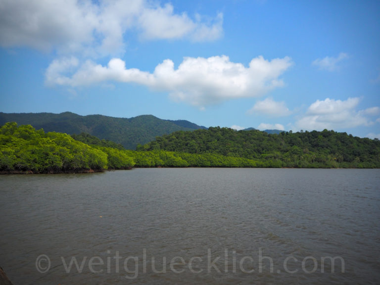 Thailand Koh Chang Salak Phet Mangroven Wald walk way