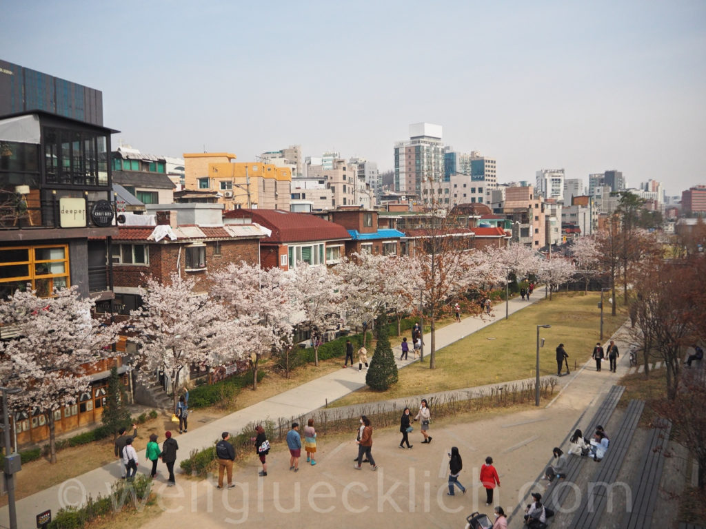 Weltreise 2020 Suedkorea Seoul Hongdae Gyeongui line book street Kirschbluete cherry blossom