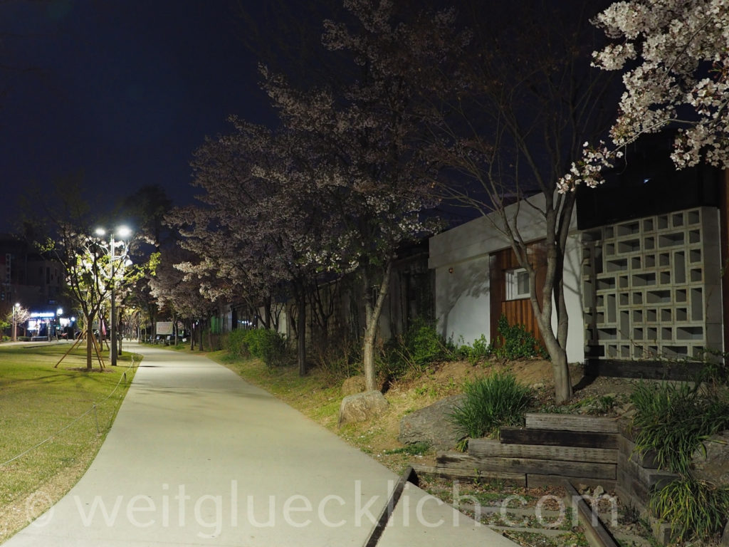 Weltreise 2020 Suedkorea Seoul  Hongdae Gyeongui Line Book Street Buecherpark Kirschbluete Nacht