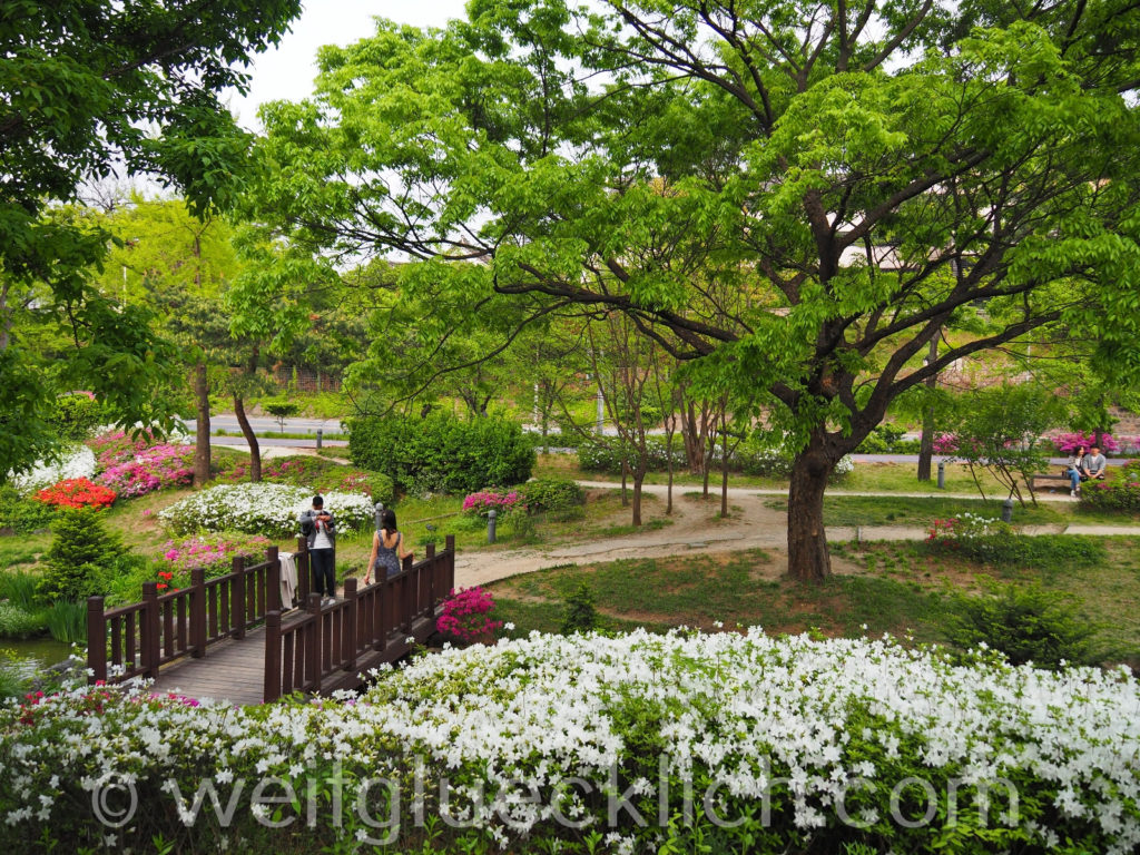 Weltreise 2020 Suedkorea Seoul Dongdaemun Jangchungdan Park