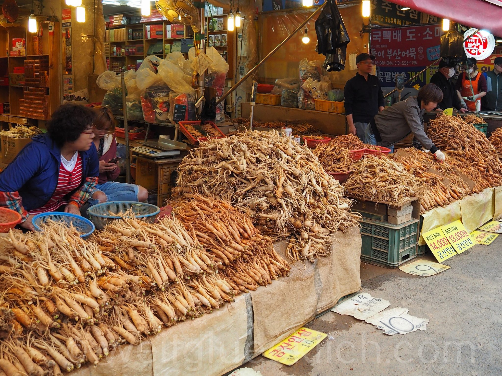Weltreise 2020 Suedkorea Seoul Gyeongdong Yangjegeongang Ginseng