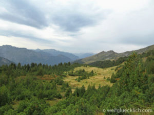Peaks of the balkans Montenegro Prokletije Gebirge Nadelwald