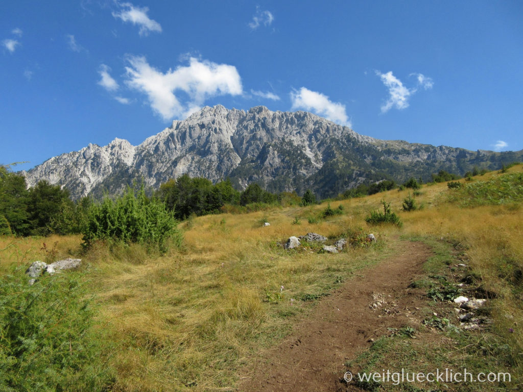 Peaks of the Balkans Montenegro Albanien Maultierweg Wiese