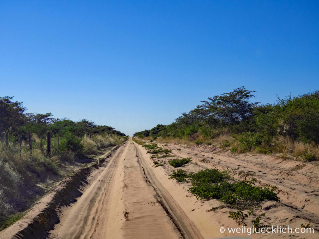Weltreise 2021 Botswana Central Kalahari Game Reserve Anfahrt Tsau Gate