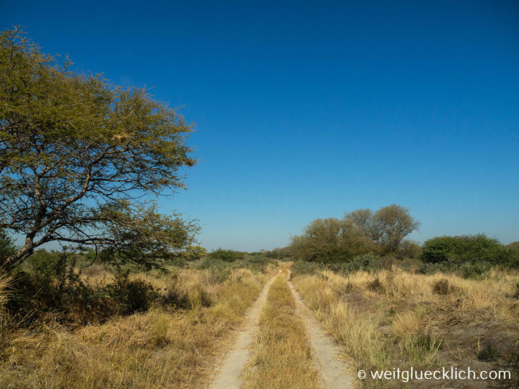 Weltreise 2021 Botswana Central Kalahari Game Reserve Piste