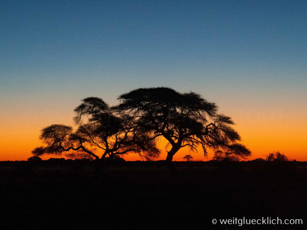 Weltreise 2021 Botswana Central Kalahari Game Reserve Sonnenuntergang