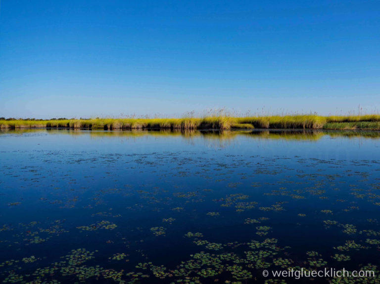Okavangodelta – Selbstfahrer im Moremi Game Reserve