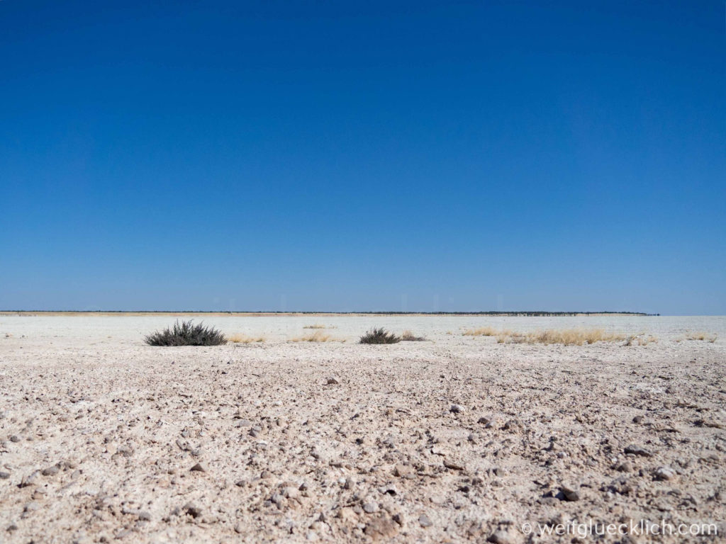 Weltreise 2021 Selbstfahrer Etosha Pan Lookout Salzkruste