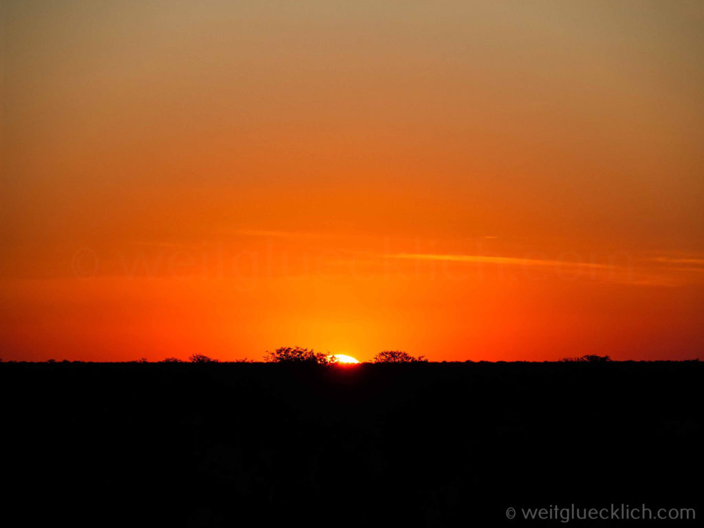 Weltreise 2021 Namibia Etosha Halali Sonnenuntergang