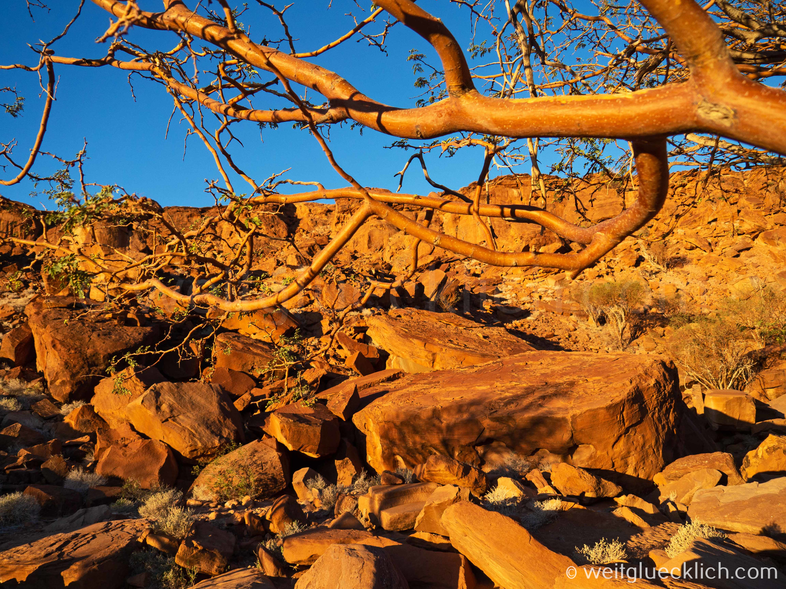 Weltreise 2021 Namibia Damaraland Abendsonne