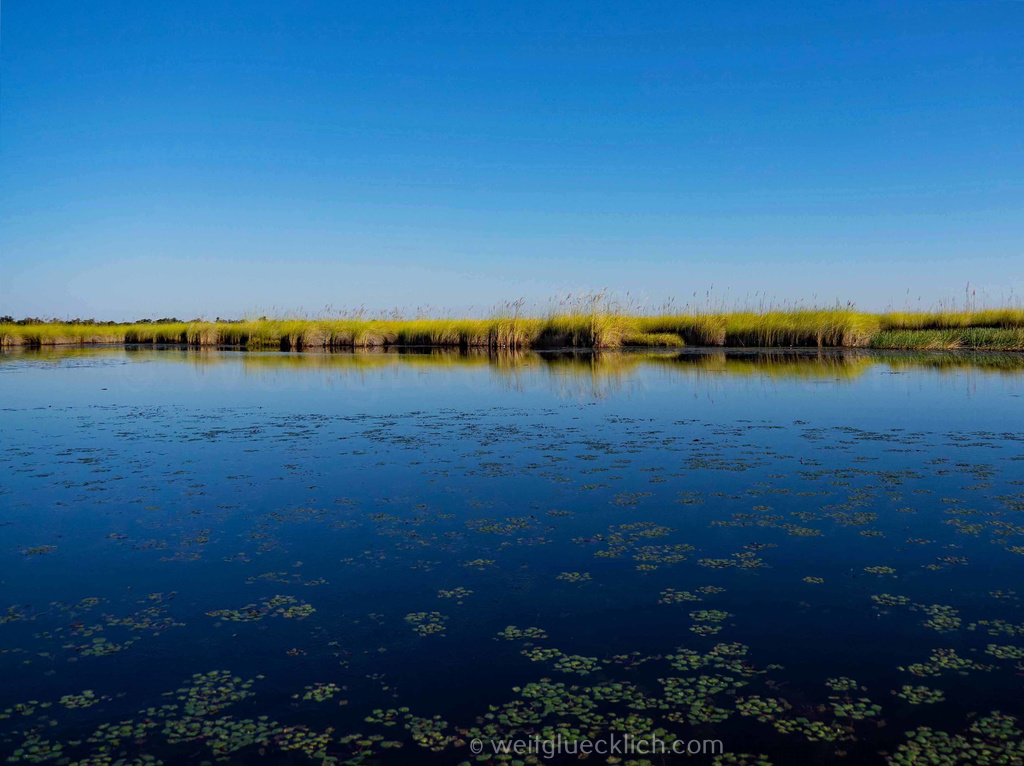 Weltreise 2021 Botswana Okavangodelta Moremi Game Reserve