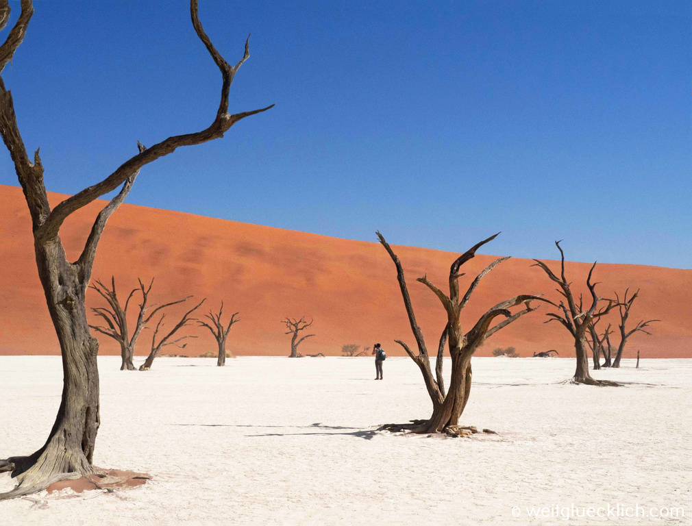 Weltreise 2021 Namibia Sossusvlei Deadvlei