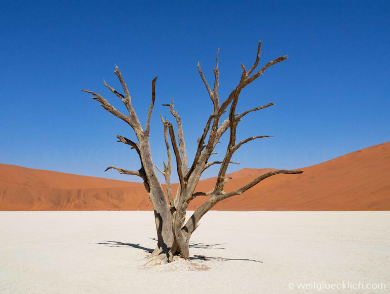Geführte Namibia Selbstfahrer-Safari 2027: Abenteuer ohne Stress!