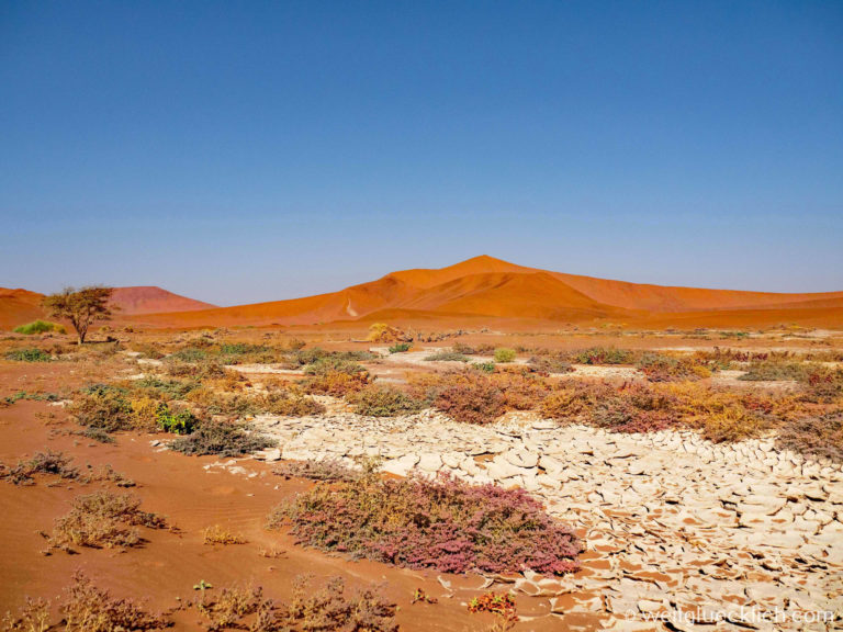 Weltreise 2021 Namibia Sossusvlei Big Daddy