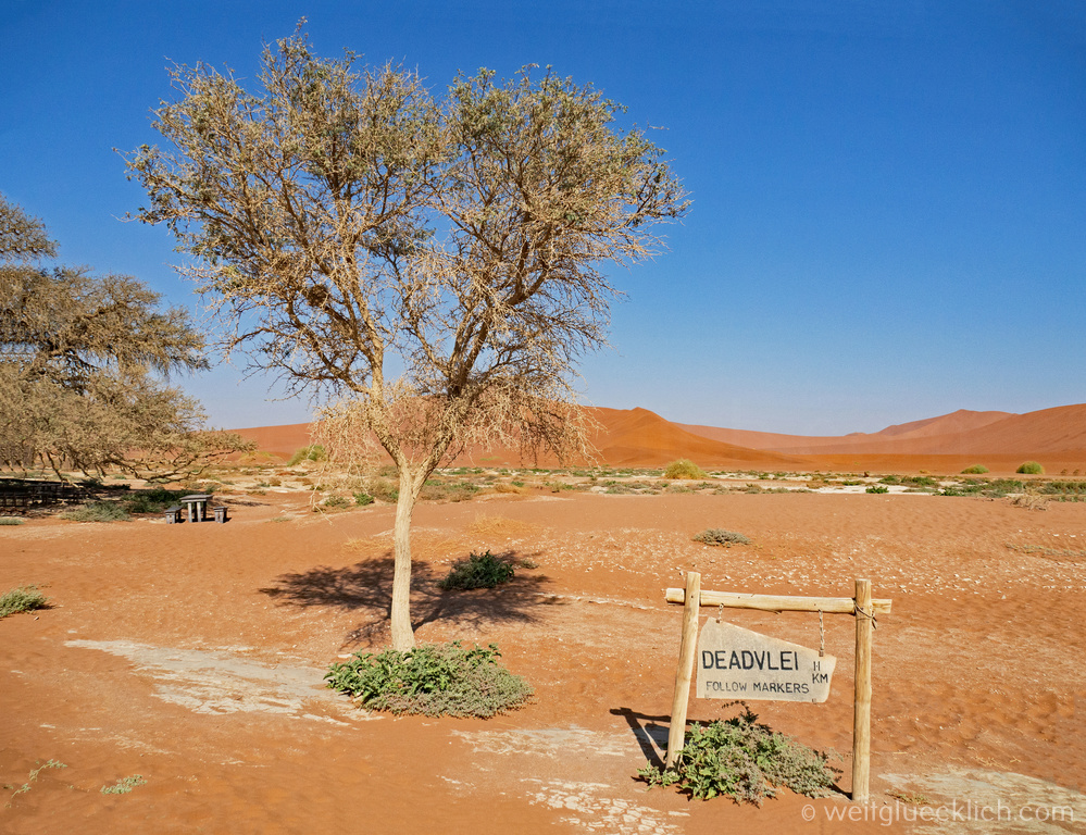 Weltreise 2021 Namibia Sossusvlei Deadvlei Parking