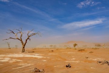 Weltreise 2021 Namibia Sossusvlei Hiddenvlei