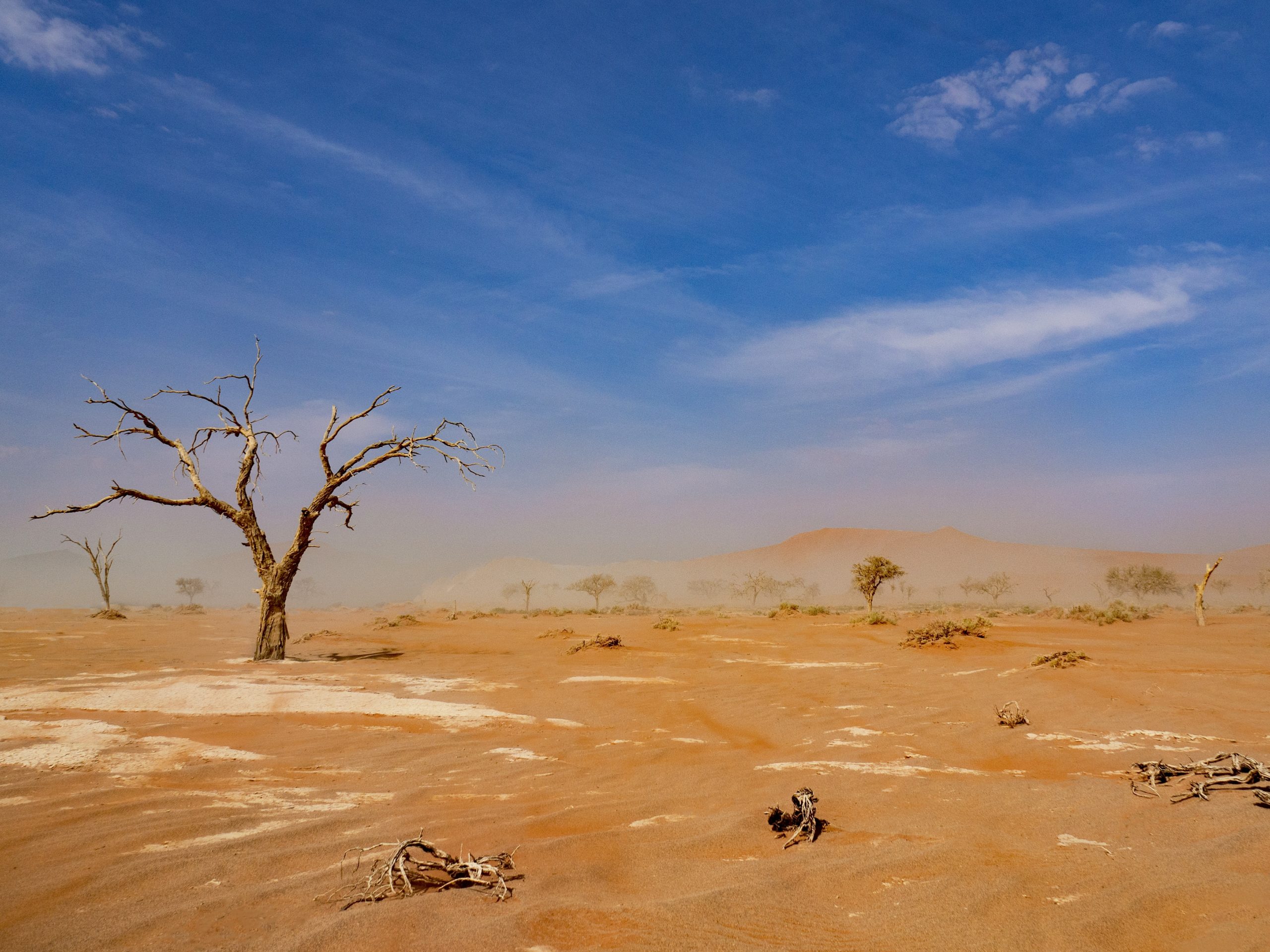 Weltreise 2021 Namibia Sossusvlei Hiddenvlei