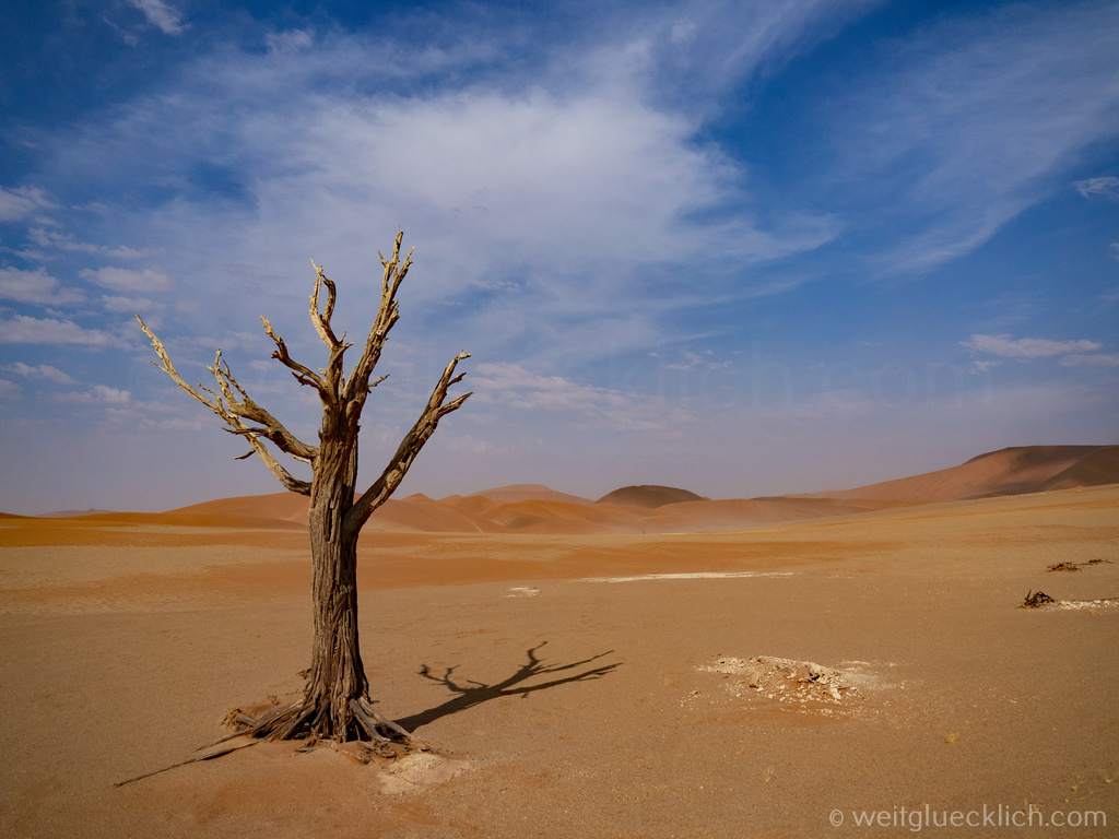 Weltreise 2021 Namibia Sossusvlei Hidden Vlei Kameldornbaum