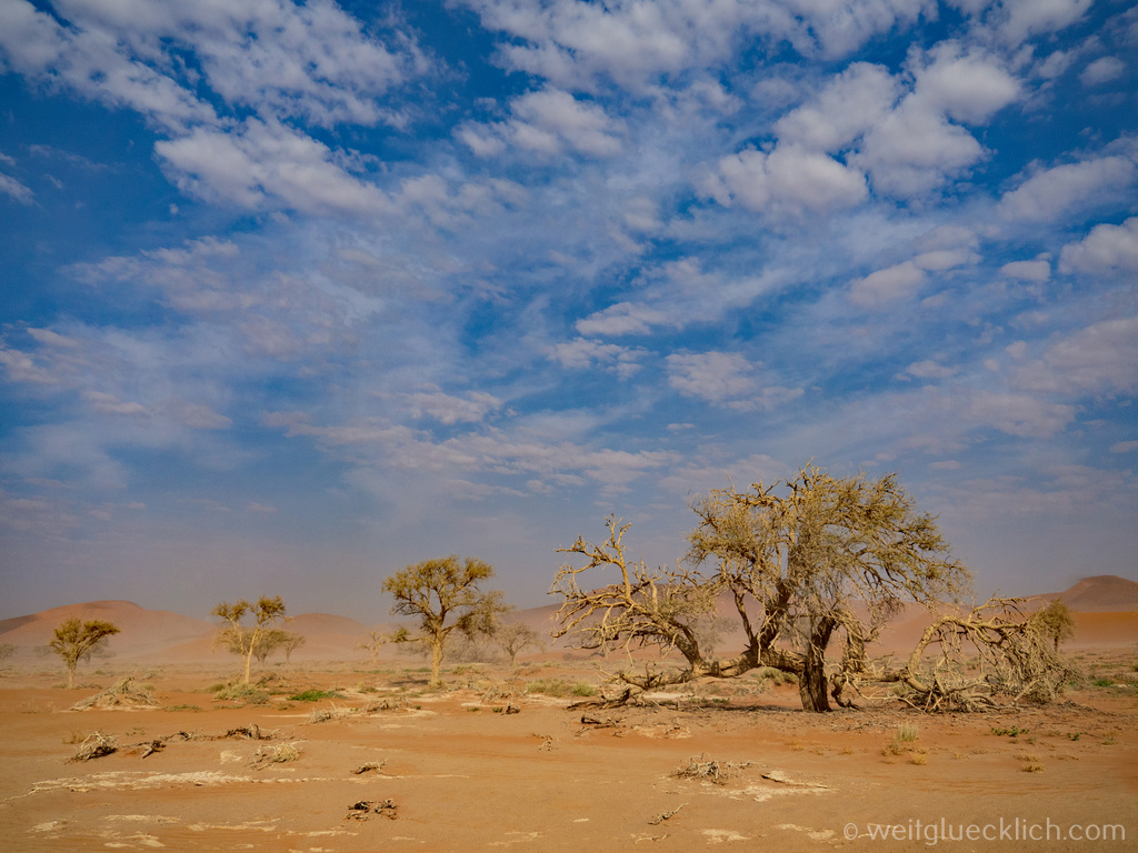 Weltreise 2021 Namibia Sossusvlei Hidden Vlei Sandsturm