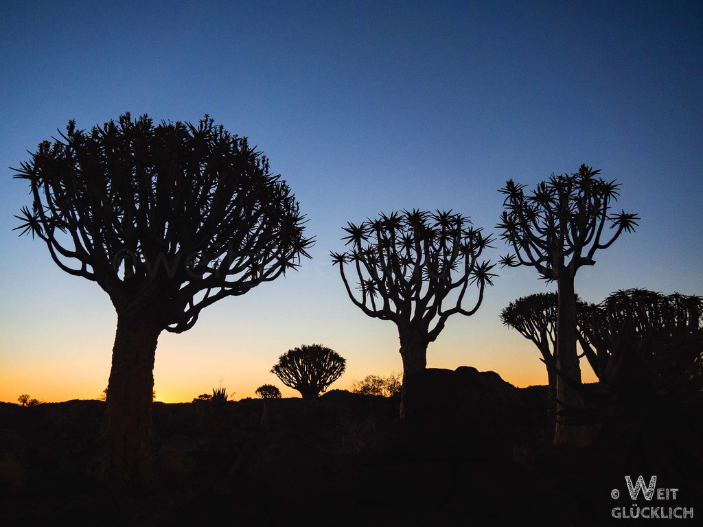 Weltreise 2021 Namibia Koecherbaumwald Sonnenuntergang