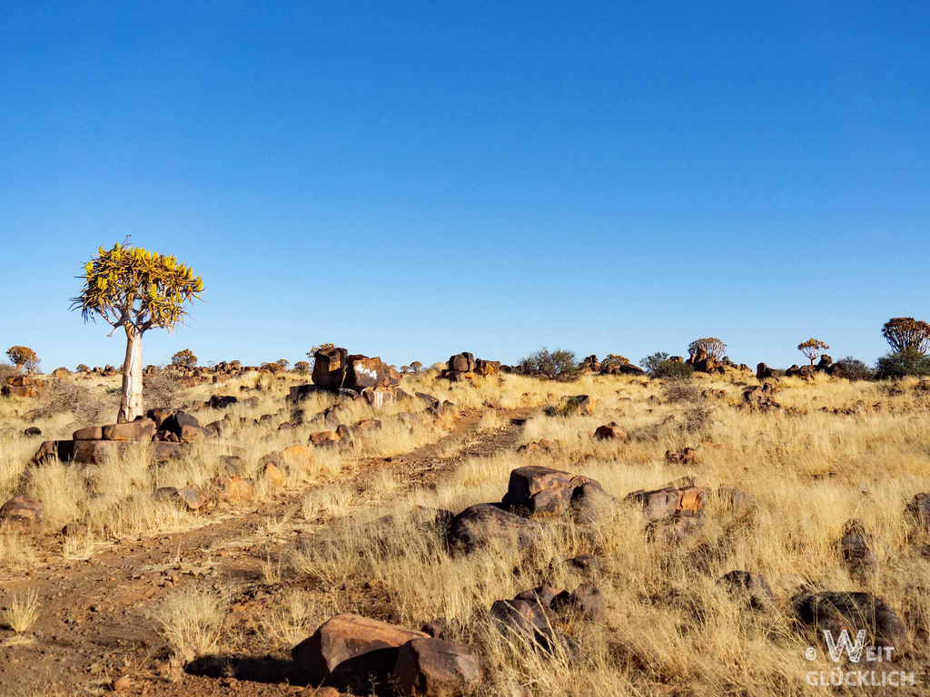 Weltreise 2021 Namibia Mesosaurus Fossil Campsite