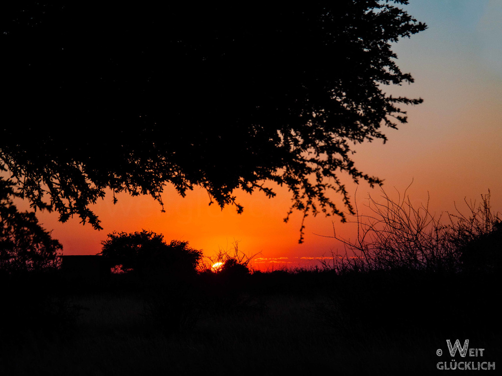 Weltreise 2021 Namibia Kalahari Anib Camping Sonnenuntergang