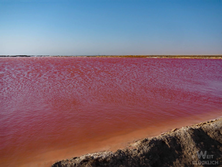 Ausflüge von Walvis Bay Flamingos und Düne 7 • weitglücklich