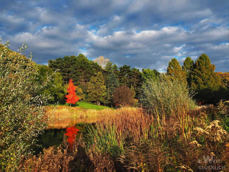 Fotochallenge VIII – Der Herbst