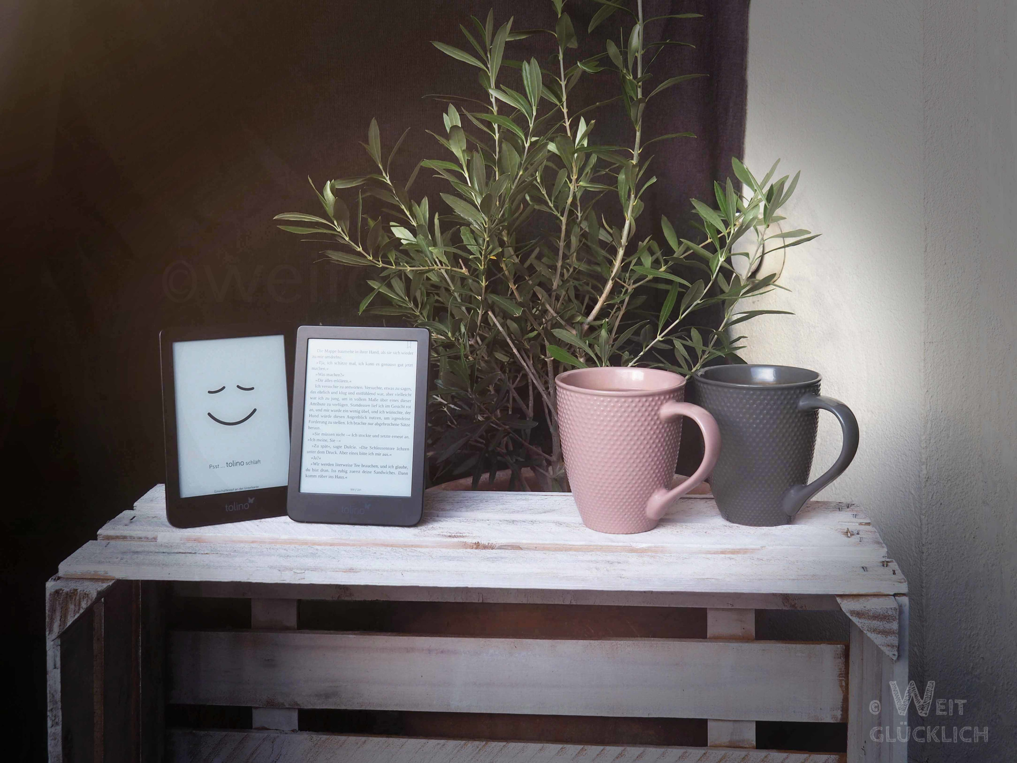 Weltreise Leseliste Buecher 2022