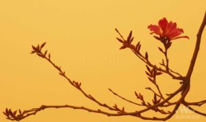 Weltreise 2022 Spanien Schirokko