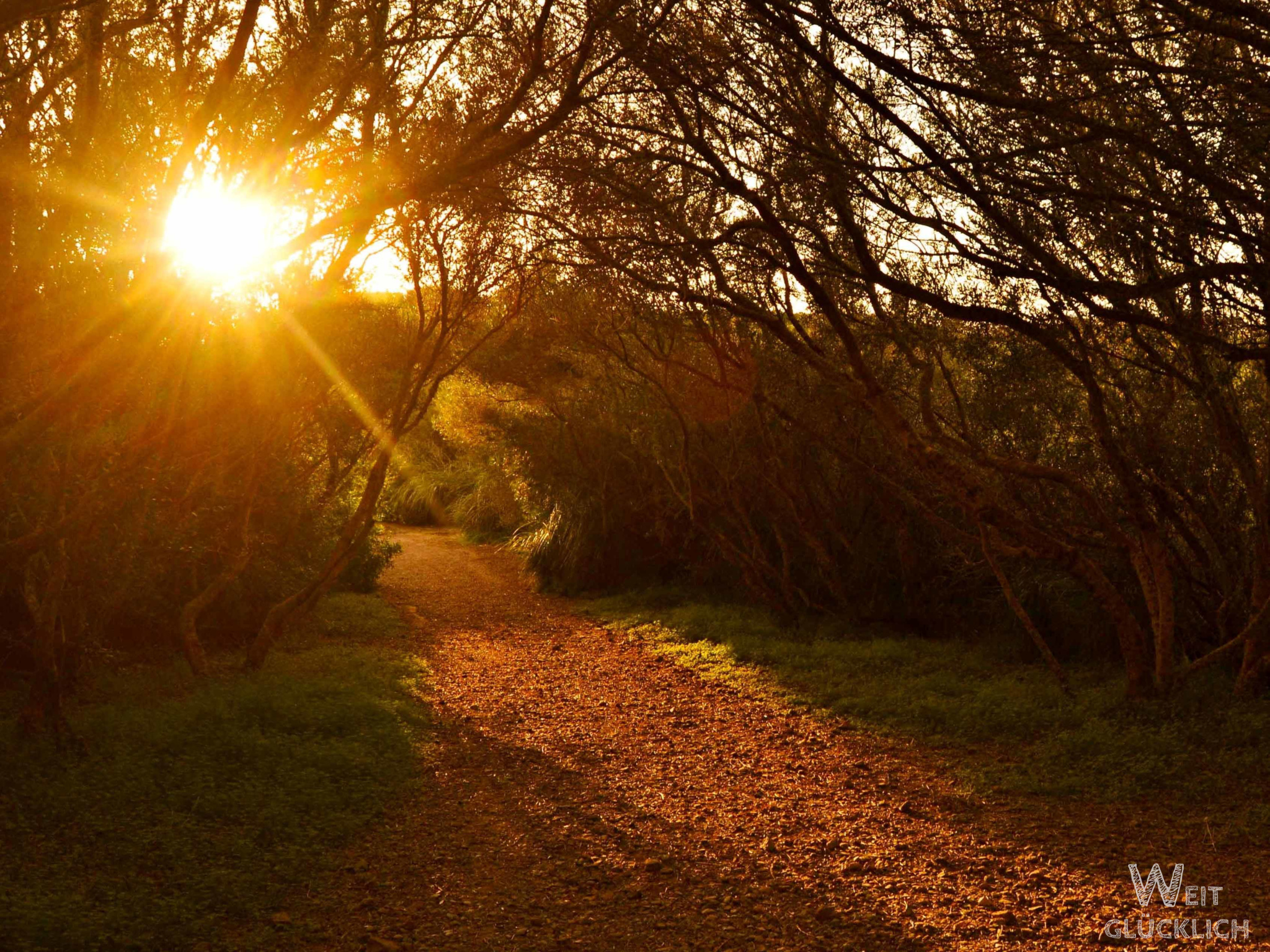 Weltreise 2023 Spanien Traeume Sonnenuntergang