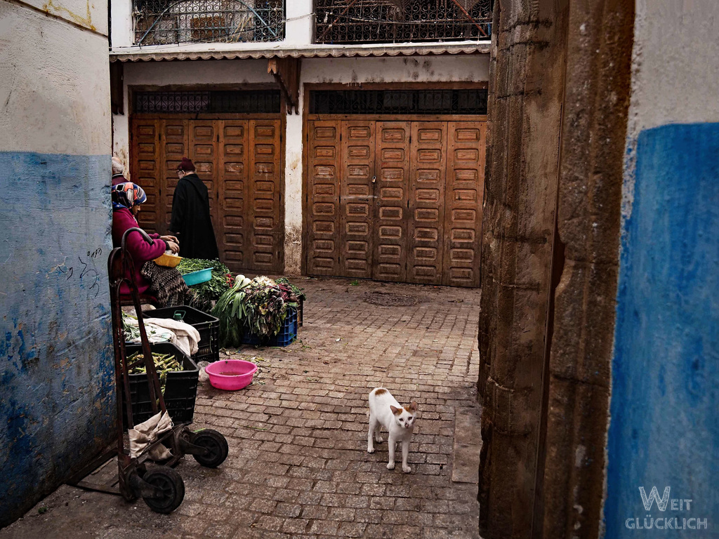 Weltreise 2024 Foto des Monats Hauptstadt Marokko Rabat Souk