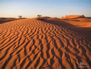 Weltreise 2024 Sahara Marokko Sandduene