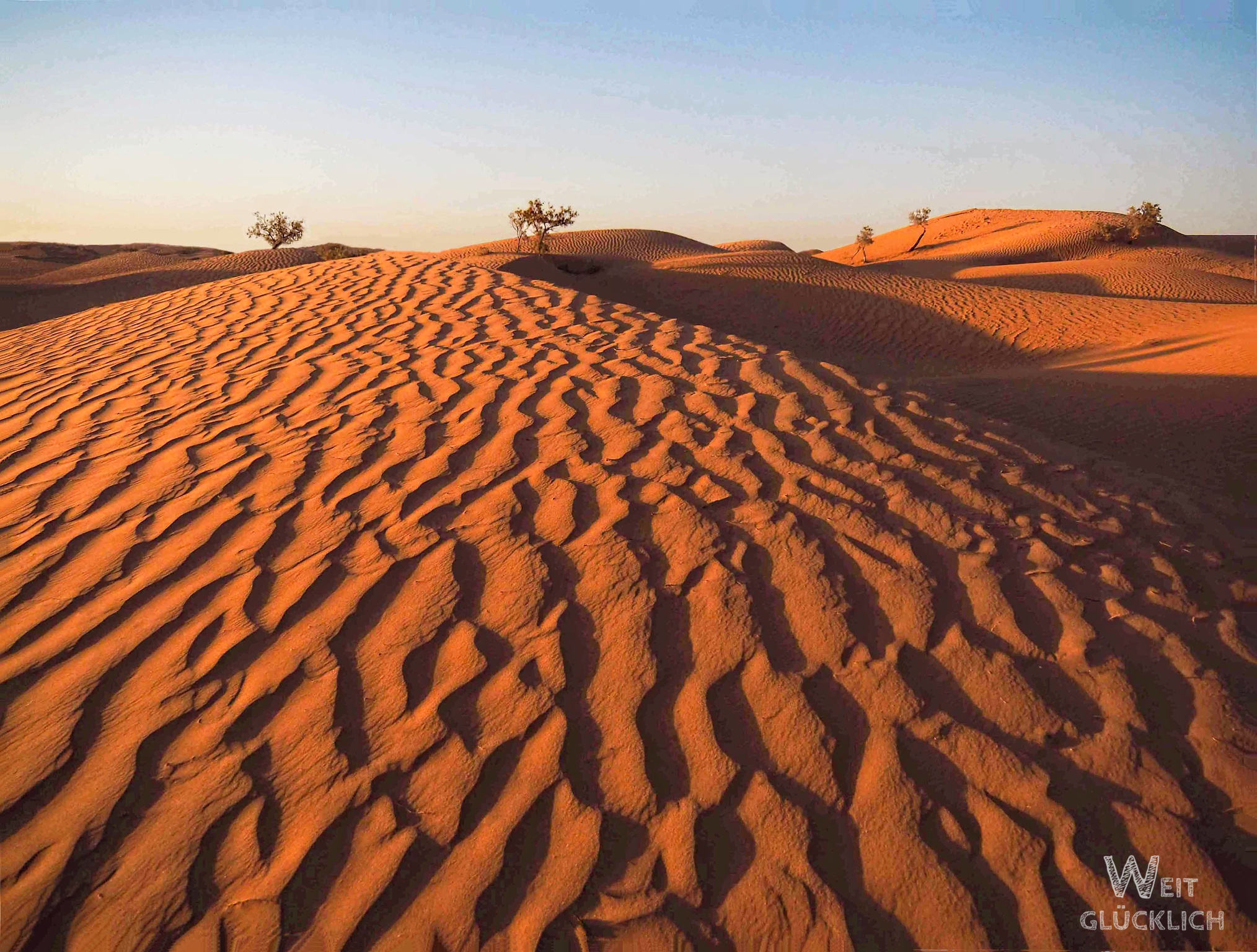 Weltreise Foto des Monats 2024 Sahara Marokko Sandduene