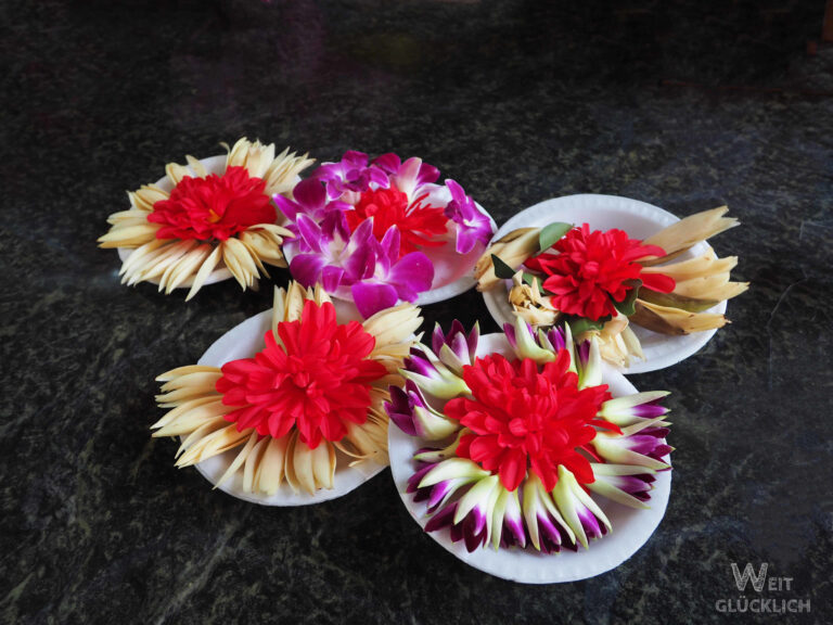 Weltreise Dankbarkeit Blumen