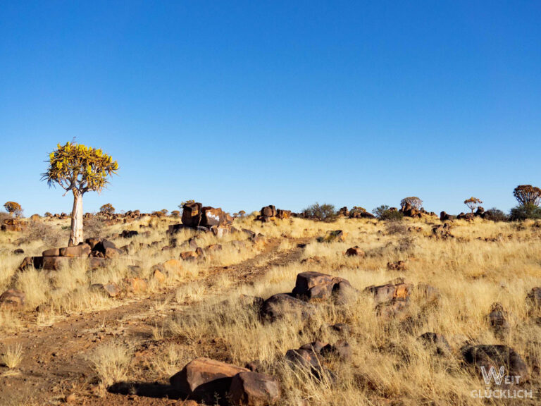 Mesosaurus Fossil Campsite Namibia