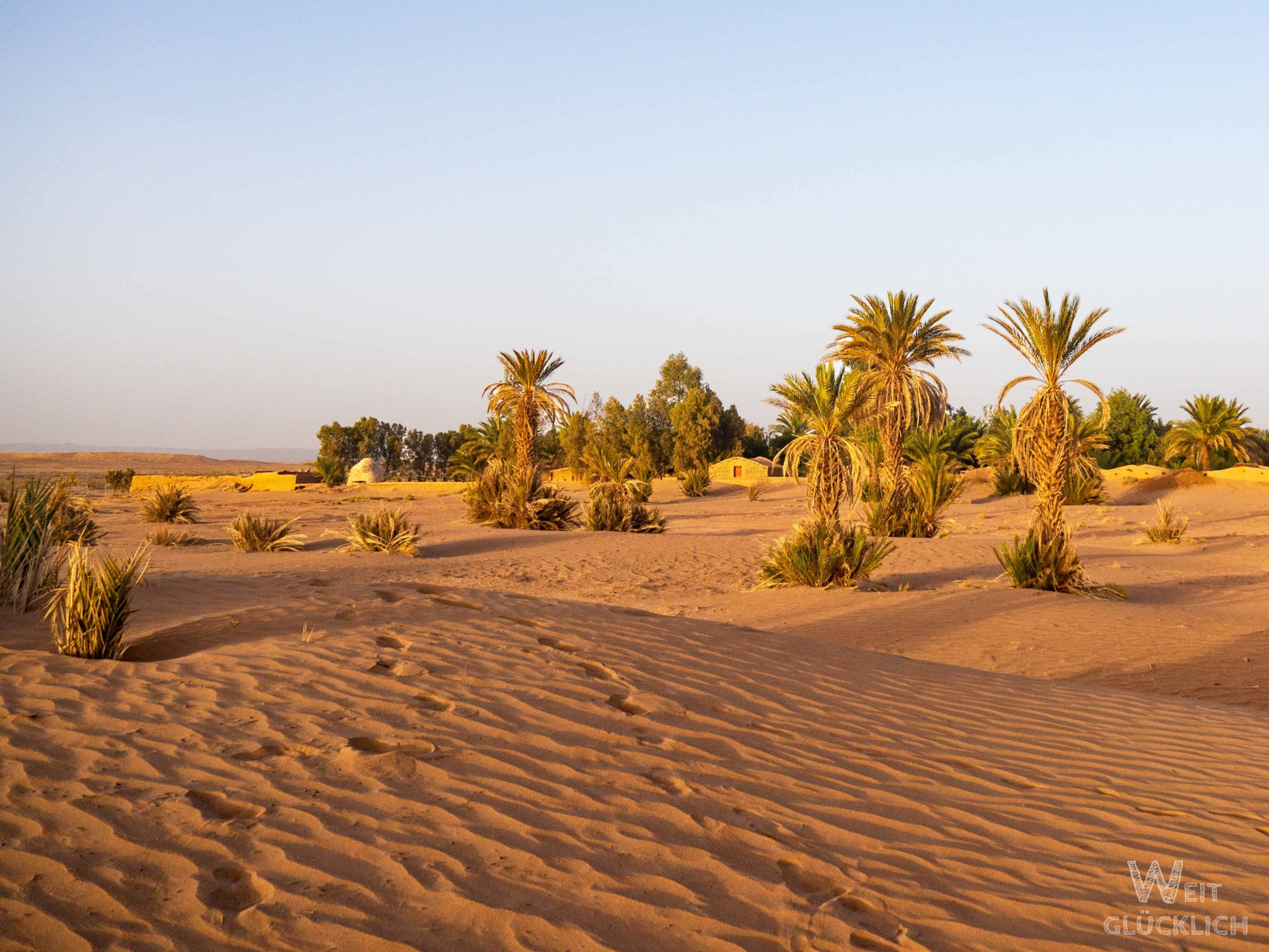 GoFundMe Sahara Permakultur Oase