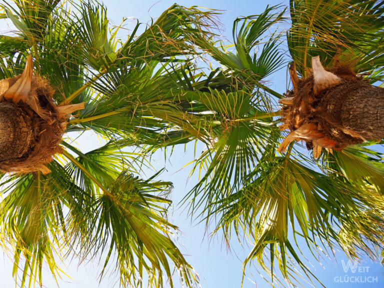 Foto des Monats Februar 2025 – Dankbarkeit