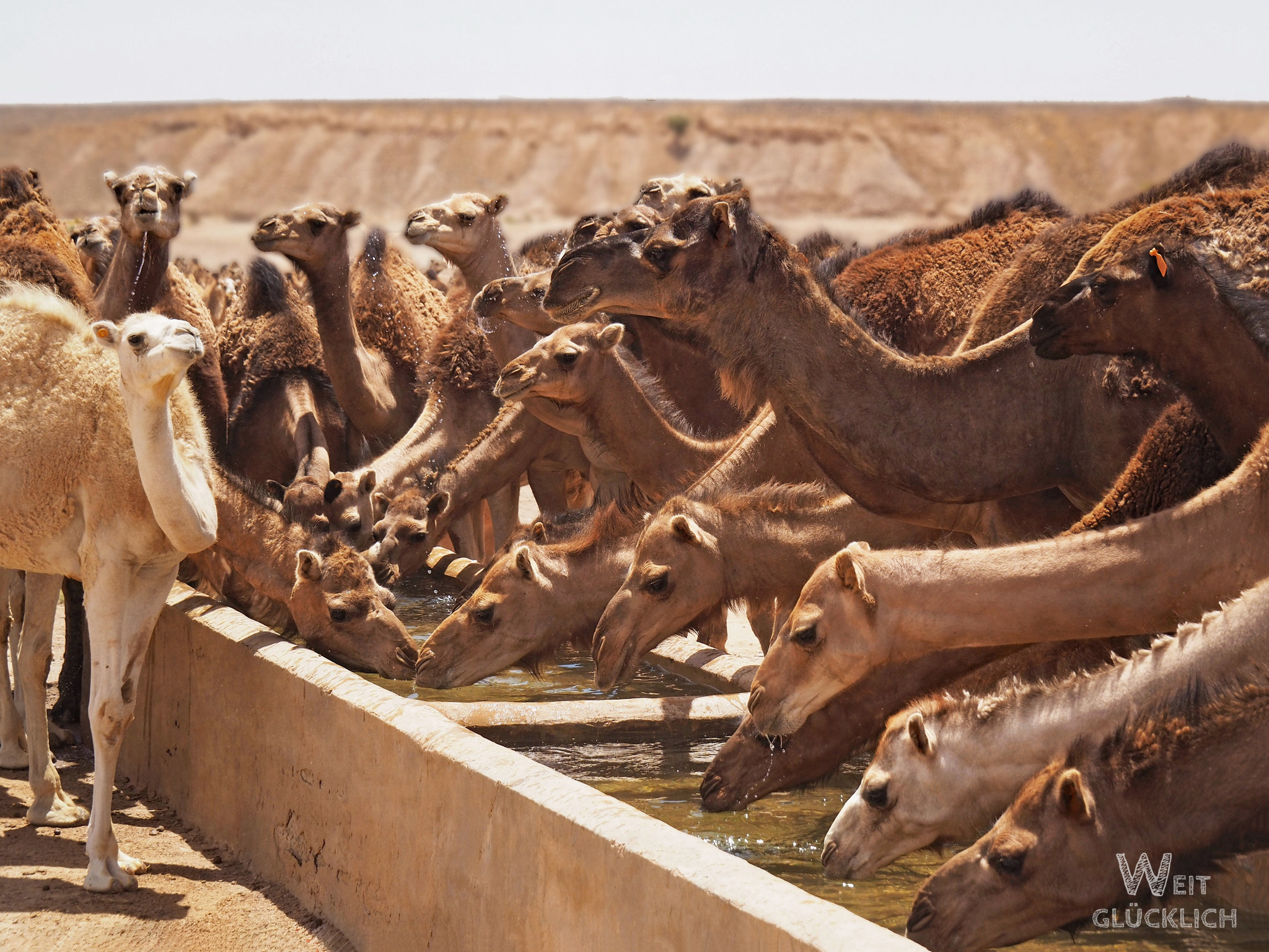 Marokko Foto des Monats