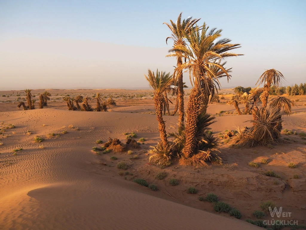 Duenen Sahara Mhamid