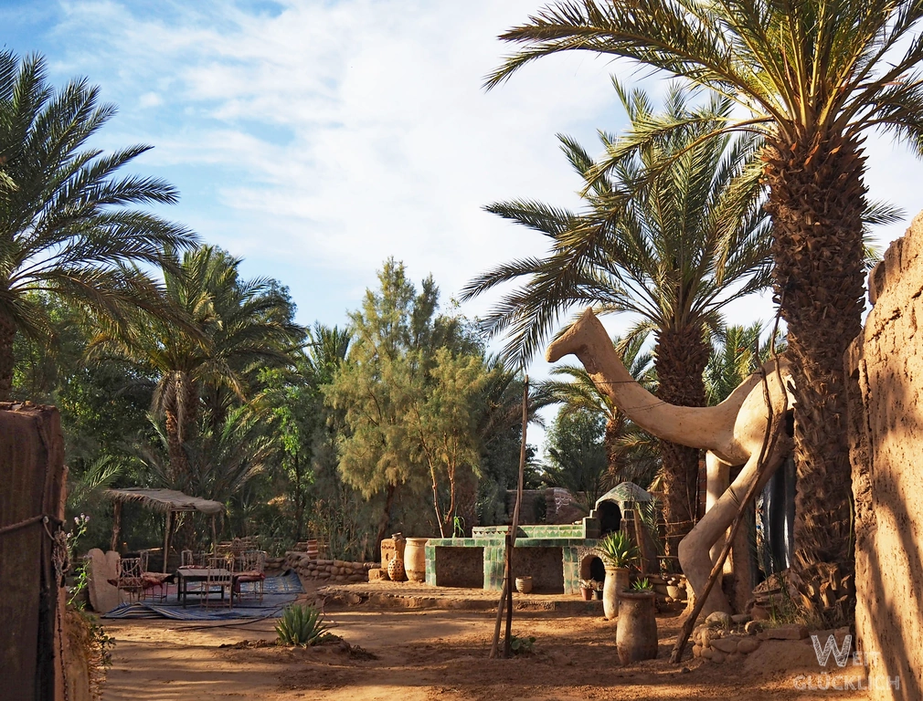 Sahara Wuesten Camp