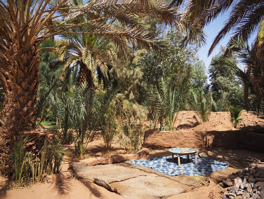 Wuestencamp Marokko Source de Vie