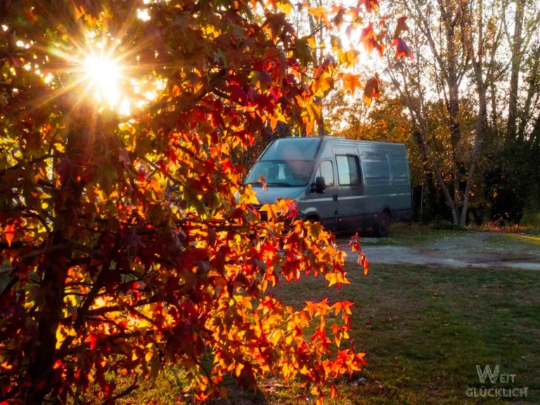 Foto des Monats Oktober 2025 – Rumänien