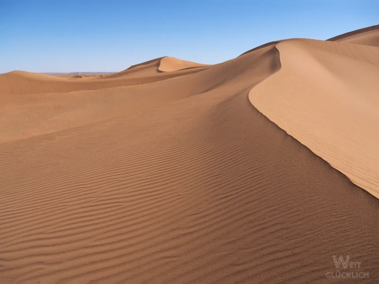 Weitglücklich: Top Fotos aus 2025