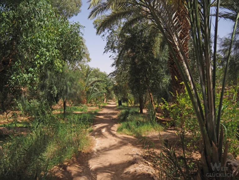 6 Jahre Weltreise: Erfahrungen und Gedanken